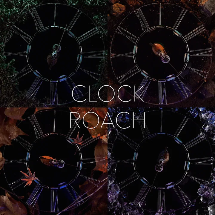 CLOCKROACH
