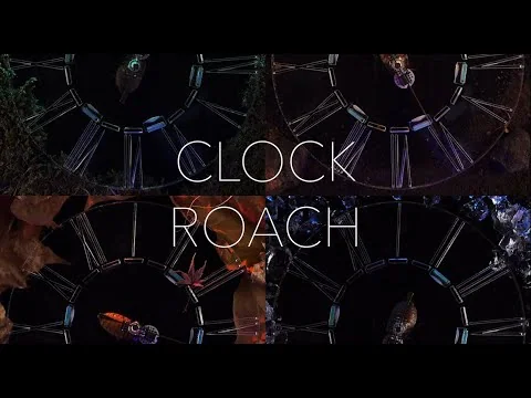 CLOCKROACH / ゴキブリを制御し時計にする