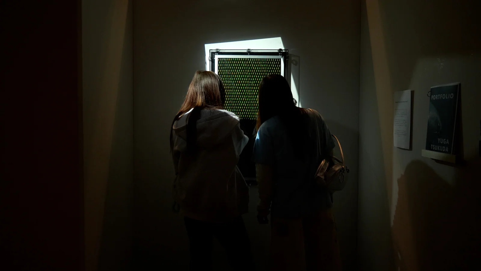 Through the Looking-Glass Forest — 作品写真