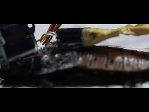 -蟲筆- ver2